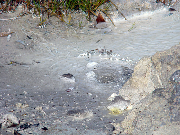 Tor Caldara - Riserva  Naturale Regionale